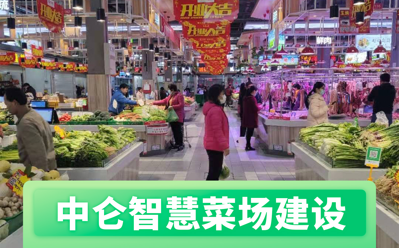 点击查看大图